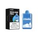 Pro Menthol Disposable
